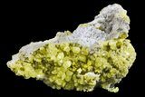 Yellow Sulfur Crystals on Matrix - Steamboat Springs, Nevada #154347-1